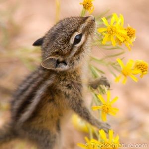 Meet your Posher, Libby